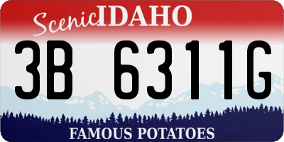 ID license plate 3B6311G