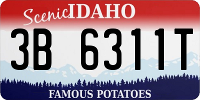 ID license plate 3B6311T