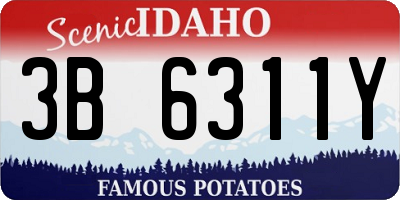 ID license plate 3B6311Y