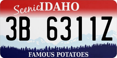 ID license plate 3B6311Z