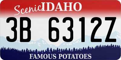 ID license plate 3B6312Z