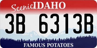 ID license plate 3B6313B