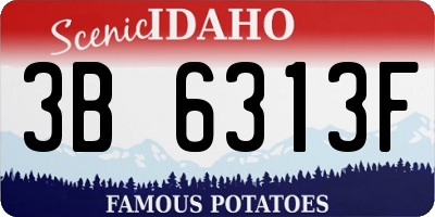 ID license plate 3B6313F
