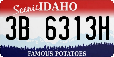 ID license plate 3B6313H