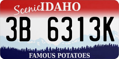 ID license plate 3B6313K