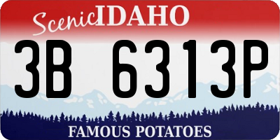 ID license plate 3B6313P