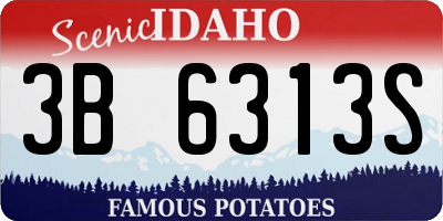 ID license plate 3B6313S