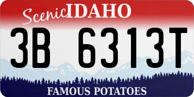 ID license plate 3B6313T