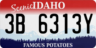 ID license plate 3B6313Y