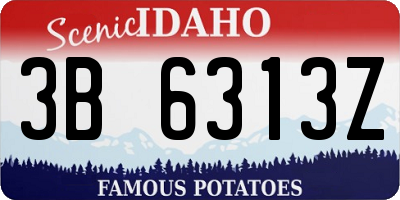 ID license plate 3B6313Z