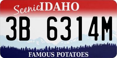 ID license plate 3B6314M