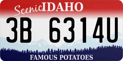 ID license plate 3B6314U