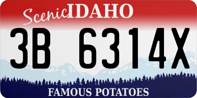 ID license plate 3B6314X