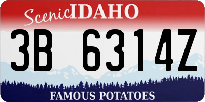 ID license plate 3B6314Z
