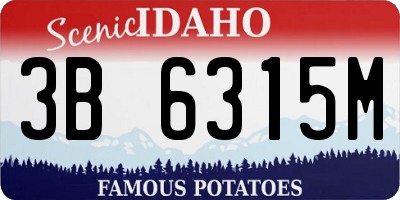ID license plate 3B6315M