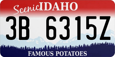 ID license plate 3B6315Z