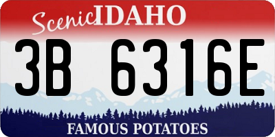 ID license plate 3B6316E