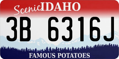 ID license plate 3B6316J