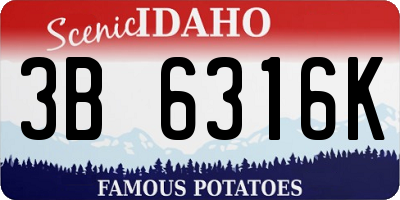 ID license plate 3B6316K