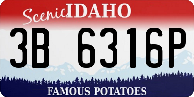 ID license plate 3B6316P