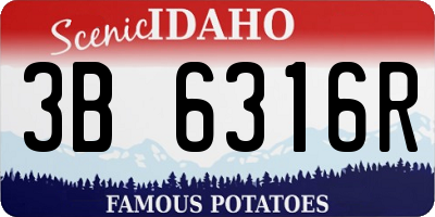 ID license plate 3B6316R