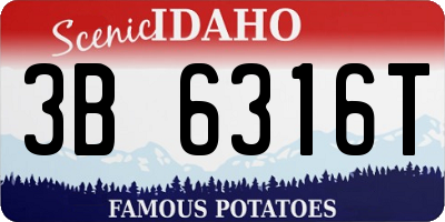 ID license plate 3B6316T