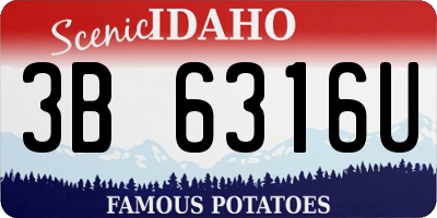 ID license plate 3B6316U