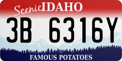 ID license plate 3B6316Y