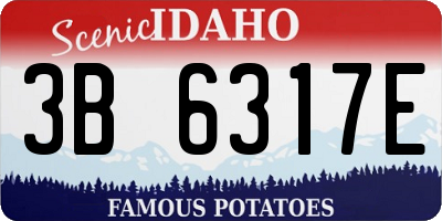 ID license plate 3B6317E