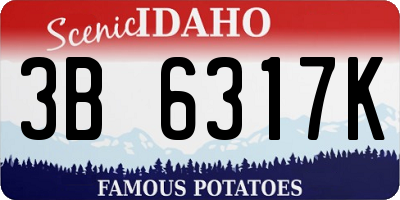 ID license plate 3B6317K
