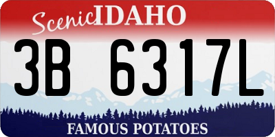 ID license plate 3B6317L