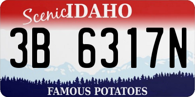 ID license plate 3B6317N
