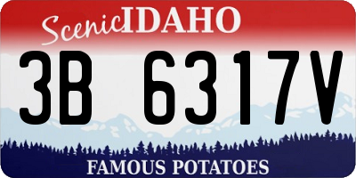 ID license plate 3B6317V