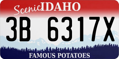 ID license plate 3B6317X