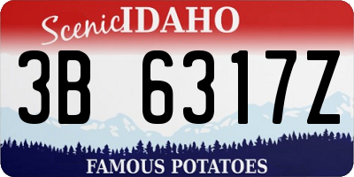 ID license plate 3B6317Z