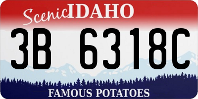 ID license plate 3B6318C
