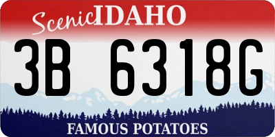 ID license plate 3B6318G