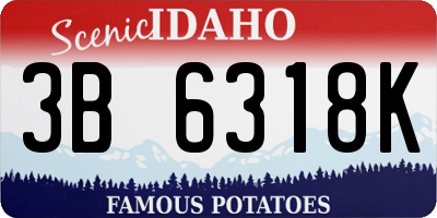 ID license plate 3B6318K