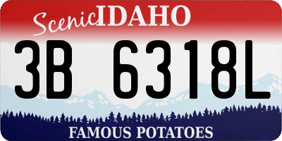 ID license plate 3B6318L