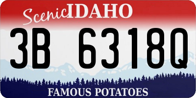 ID license plate 3B6318Q