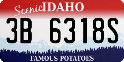 ID license plate 3B6318S