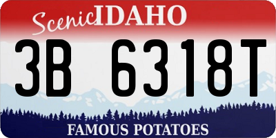 ID license plate 3B6318T