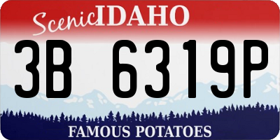 ID license plate 3B6319P
