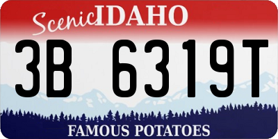 ID license plate 3B6319T