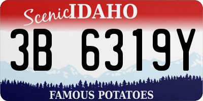 ID license plate 3B6319Y