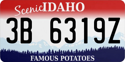 ID license plate 3B6319Z