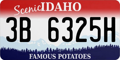 ID license plate 3B6325H
