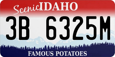 ID license plate 3B6325M