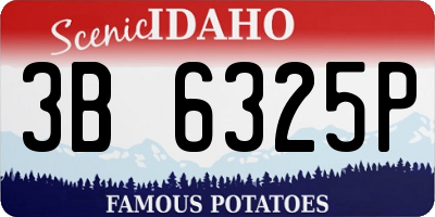 ID license plate 3B6325P