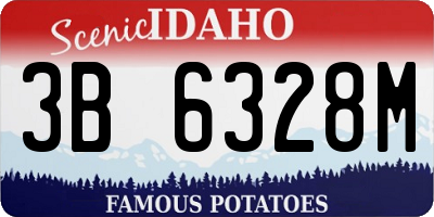 ID license plate 3B6328M